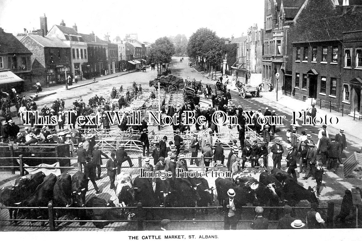 HF 2348 - The Cattle Market, St Albans, Hertfordshire c1913