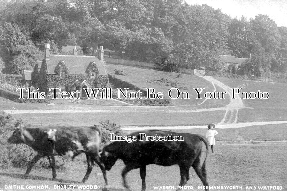 HF 2381 - The Common, Chorley Woods, Chorleywood, Hertfordshire