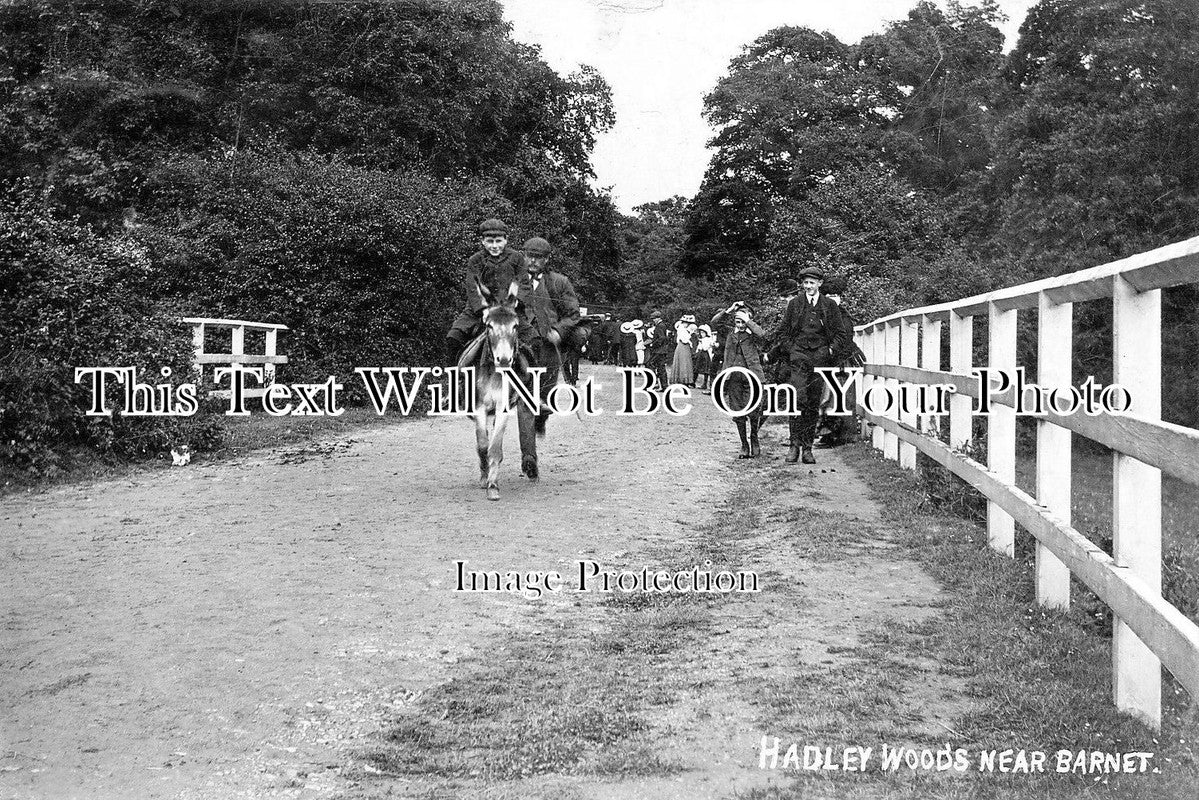 HF 330 - Hadley Woods, Hertfordshire c1910