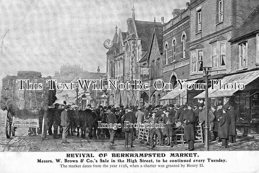 HF 41 - Revival Of Berkhamsted Market, Hertfordshire c1906