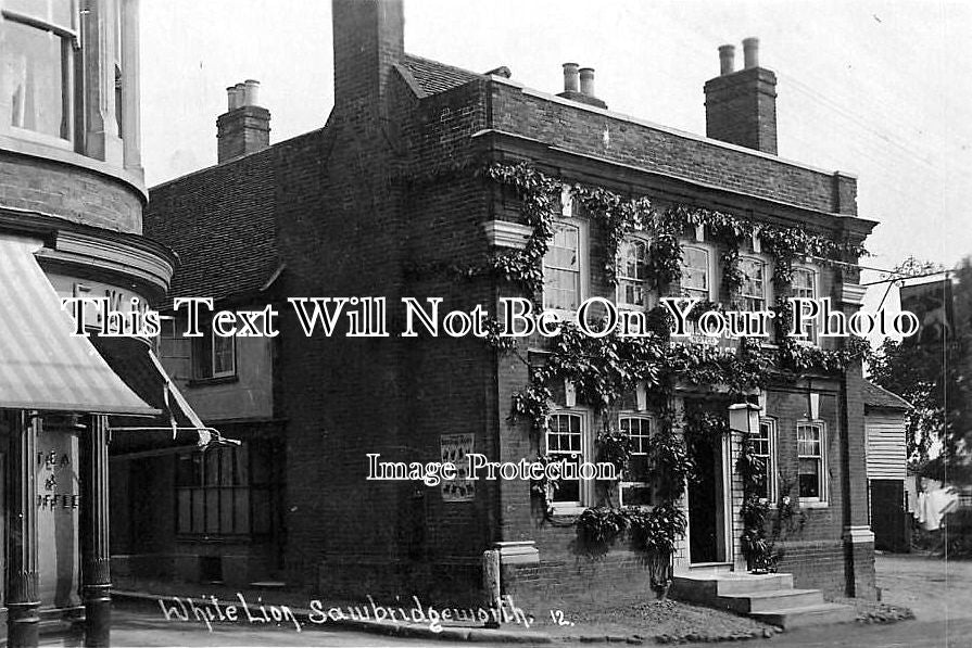 HF 445 - The White Lion Pub, Sawbridgeworth, Hertfordshire c1911