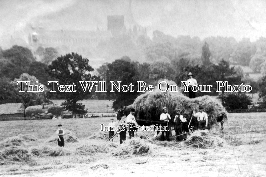 HF 543 - Haymaking At St Albans, Hertfordshire c1906