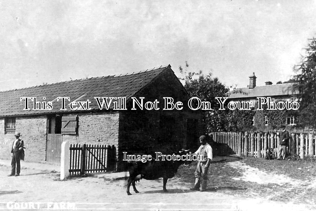 HR 42 - Court Farm, Brockhampton, Herefordshire c1905