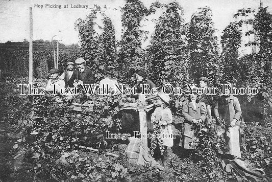 HR 85 - Hop Picking, Ledbury, Herefordshire