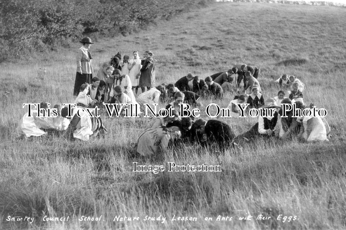 HU 90 - Sawtry Council School Nature Study, Lesson On Ants & Eggs, Cambridgeshire