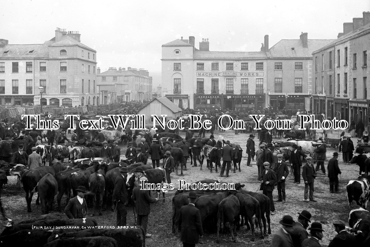 IE 46 - Fair Day, Dungarvan, County Waterford, Ireland c1910