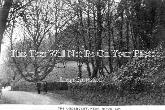 IO 1104 - The Undercliff Near Niton, Isle Of Wight c1912