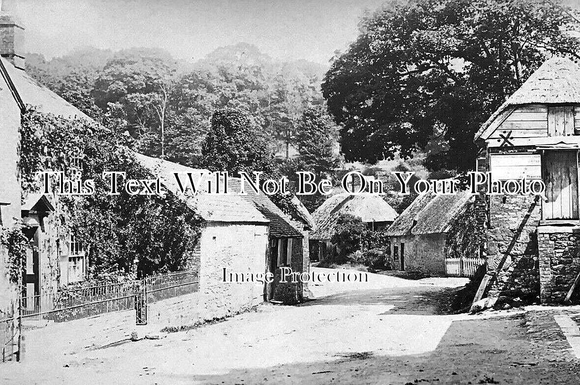 IO 1195 - Shorwell, Isle Of Wight c1904