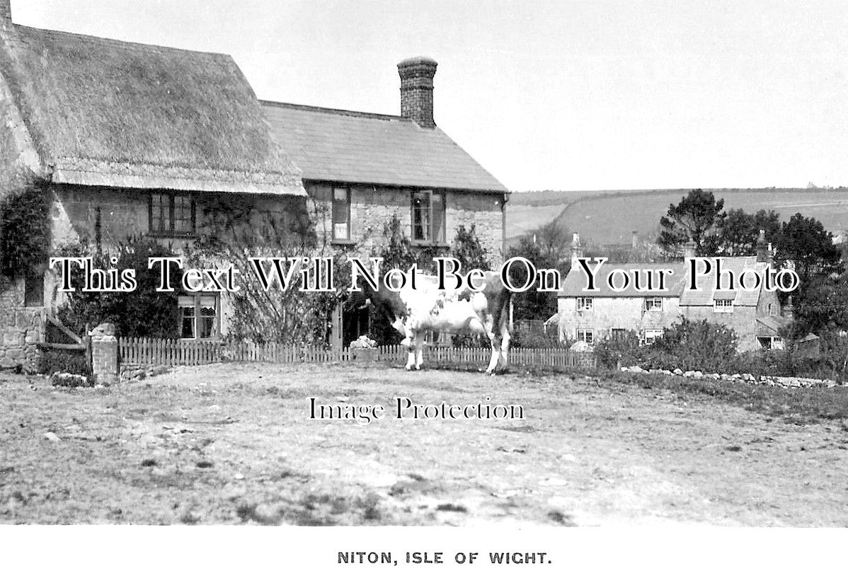 IO 393 - Niton, Isle Of Wight c1919