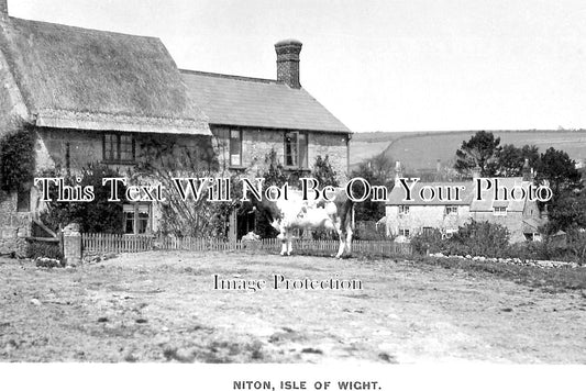 IO 393 - Niton, Isle Of Wight c1919