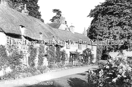 IO 411 - Winkle Street, Calbourne, Isle Of Wight c1949