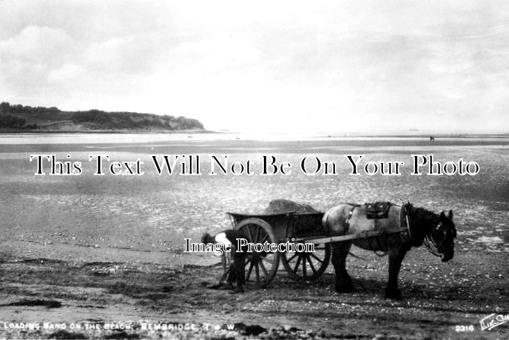 IO 418 - Loading Sand On The Beach, Bembridge, Isle Of Wight c1948