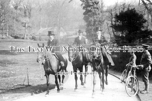 IO 602 - Fox Hounds At Northcourt, Shorwell, Isle Of Wight