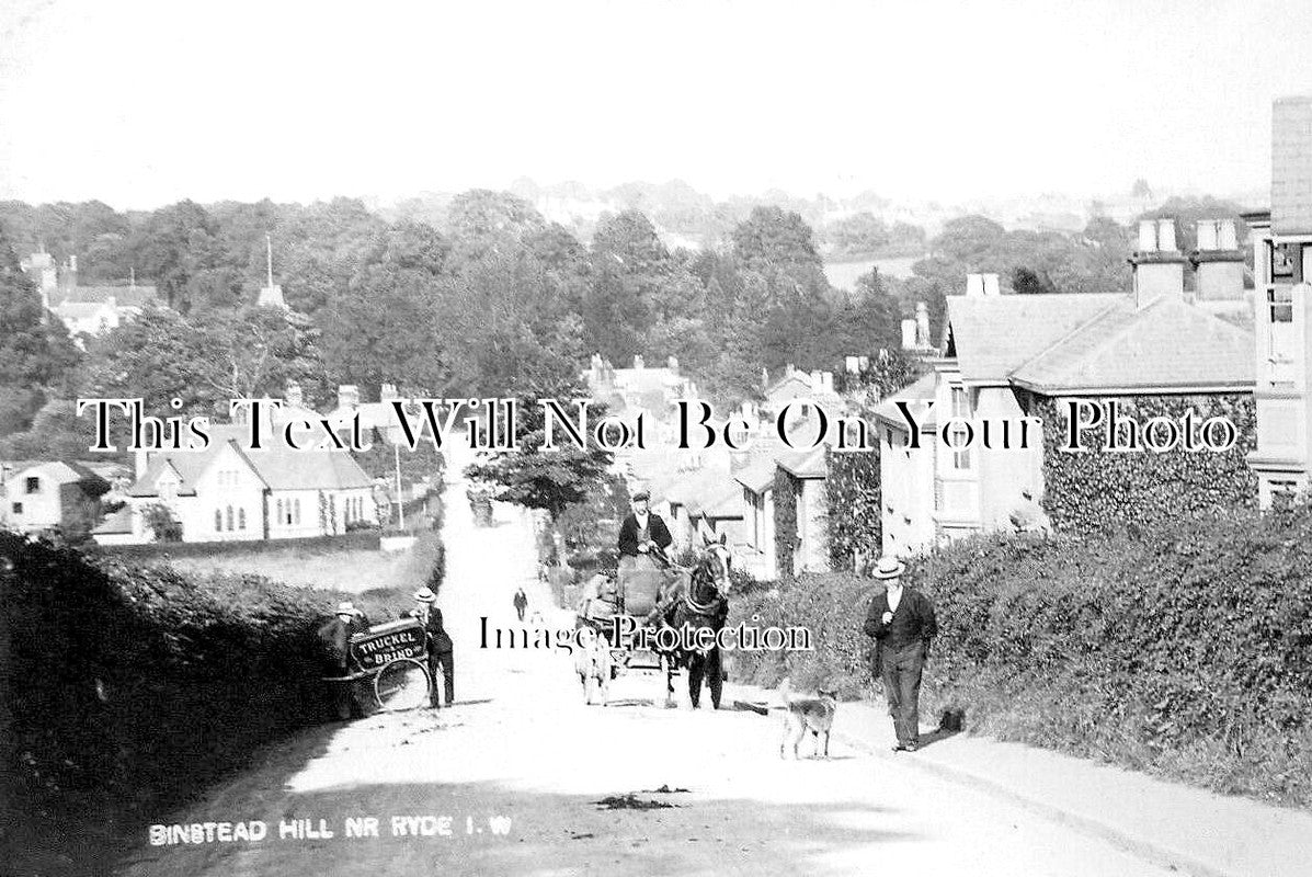 IO 718 - Binstead Hill Near Ryde, Isle Of Wight c1909