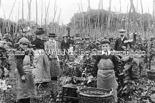 KE 1013 - Hop Picking Group, Kent c1912