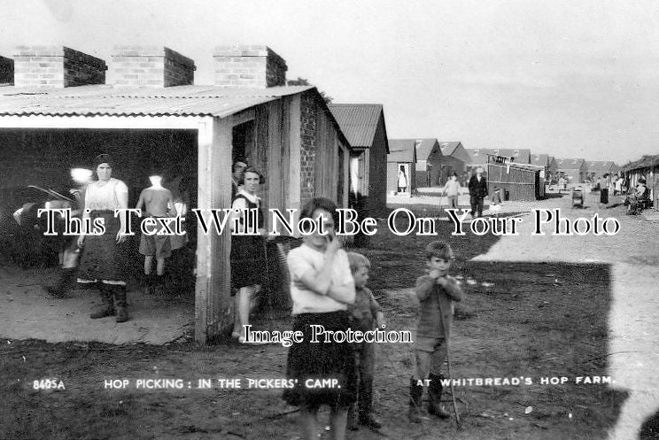 KE 1054 - The Pickers Camp, Whitbread's Hop Farm, Kent – JB Archive