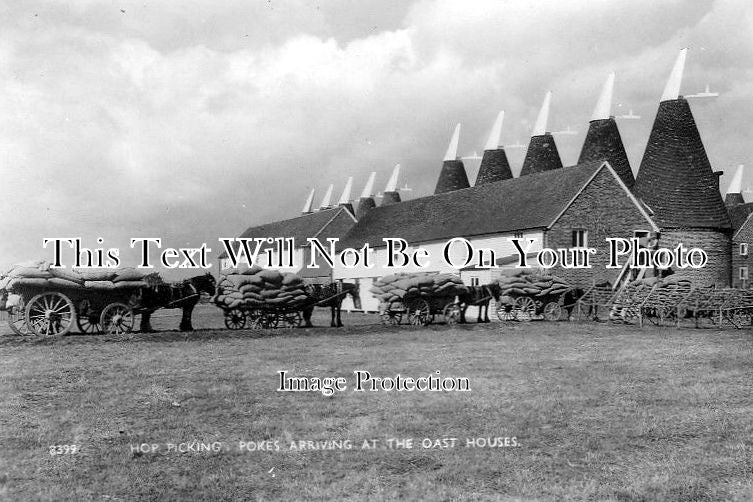 KE 1085 - Hop Picking Pokes Arriving At The Oast Houses, Kent