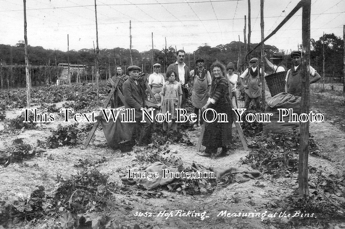 KE 1296 - Measuring The Bins, Hop Picking, Kent