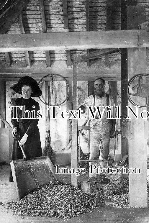 KE 1301 - Drying Room, Hop Picking, Kent