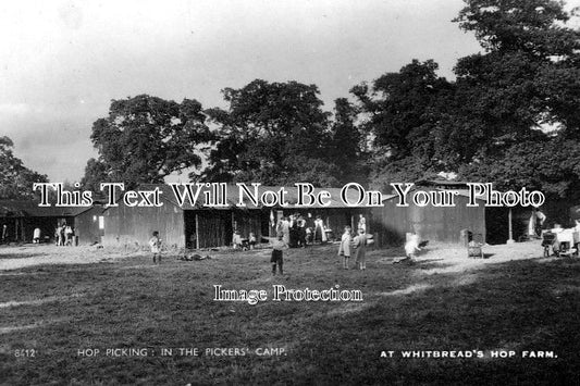 KE 1303 - Hop Picking Camp At Whitbread's Hop Farm, Kent