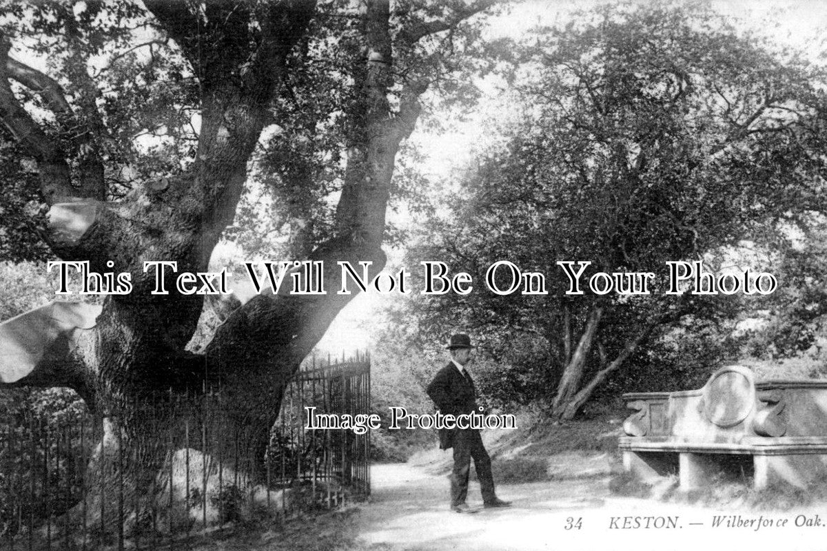 KE 1420 - Wilberforce Oak, Keston, Kent