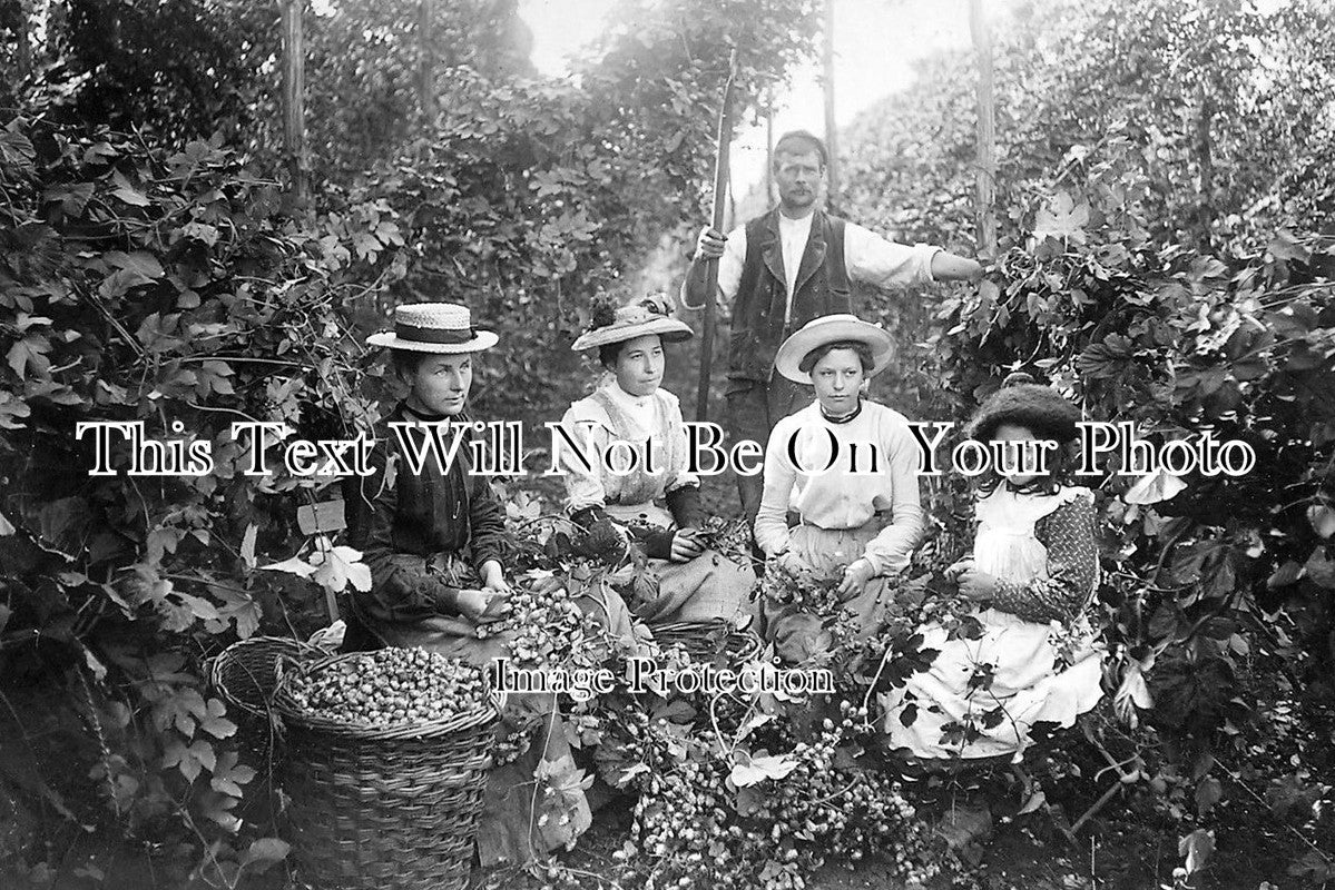 KE 1475 - Hop Pickers, Faversham, Kent
