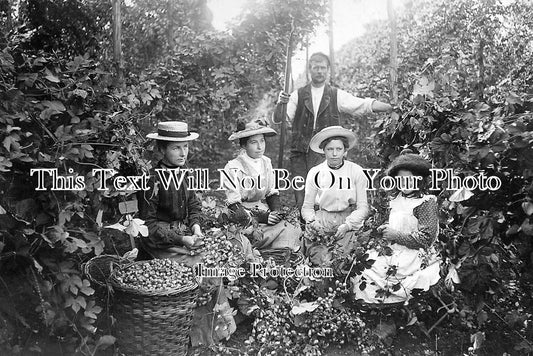 KE 1475 - Hop Pickers, Faversham, Kent