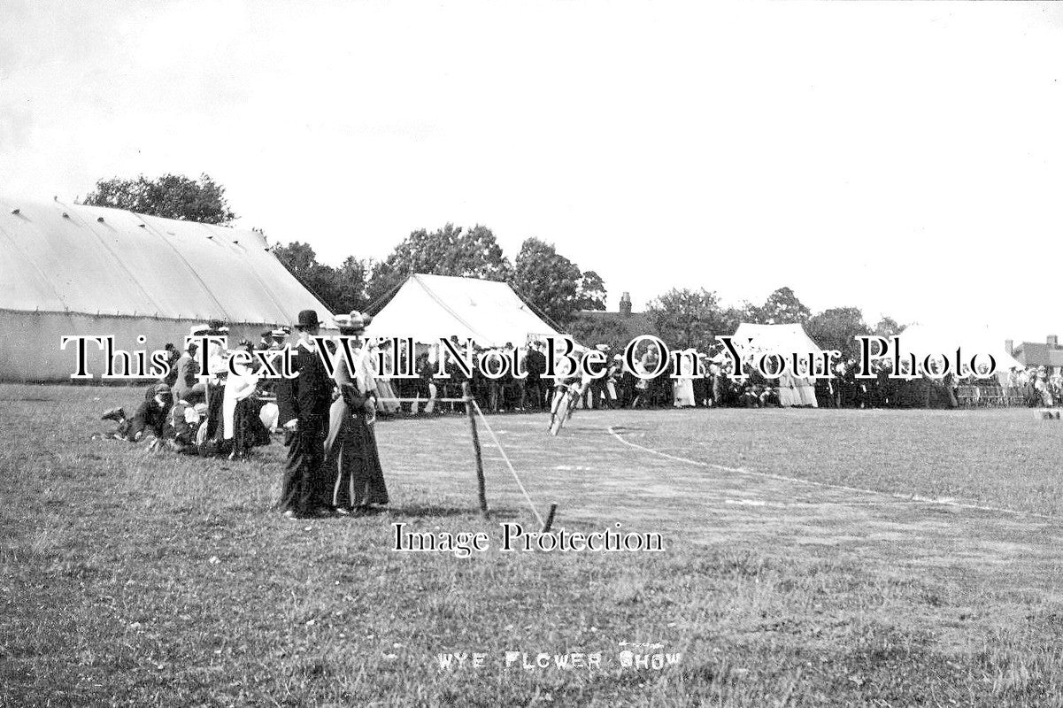 KE 1563 - Wye Flower Show, Kent c1910