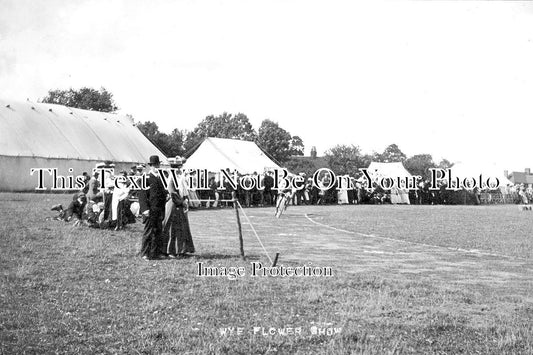 KE 1563 - Wye Flower Show, Kent c1910