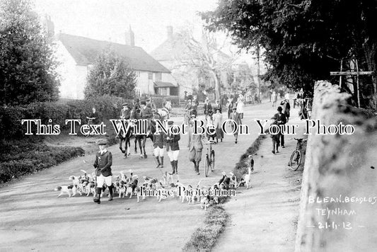 KE 1671 - Blean Beagles, Teynham, Faversham, Kent