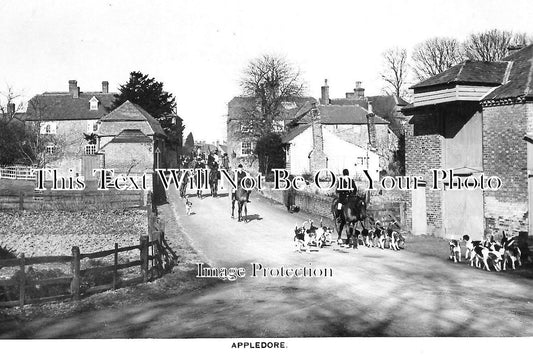 KE 2051 - Fox Hunting, Appledore, Kent