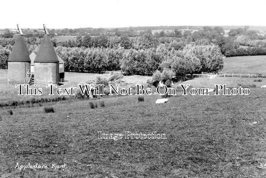 KE 2293 - Oast Houses, Appledore, Kent