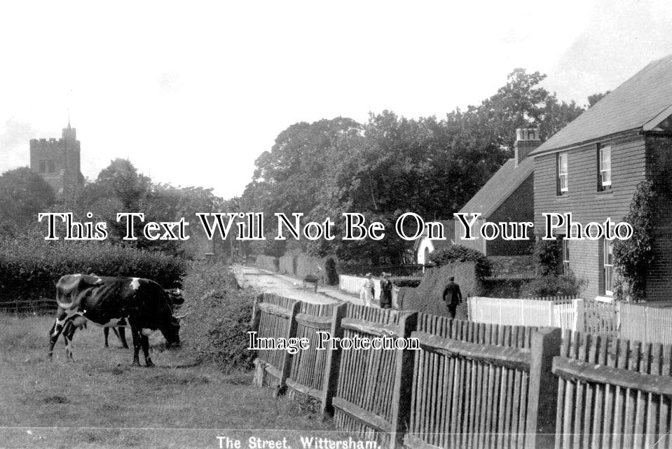 KE 2543 - The Street, Wittersham, Kent c1910