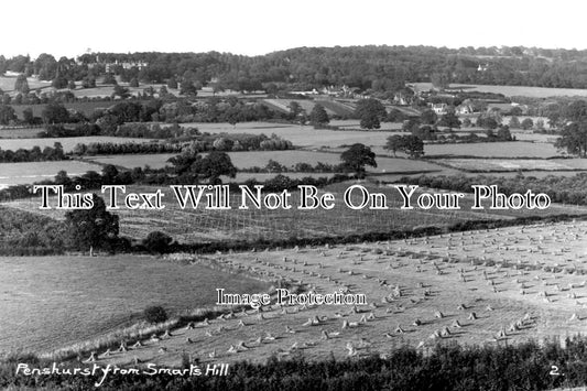 KE 2629 - Penshurst From Smarts Hill, Kent