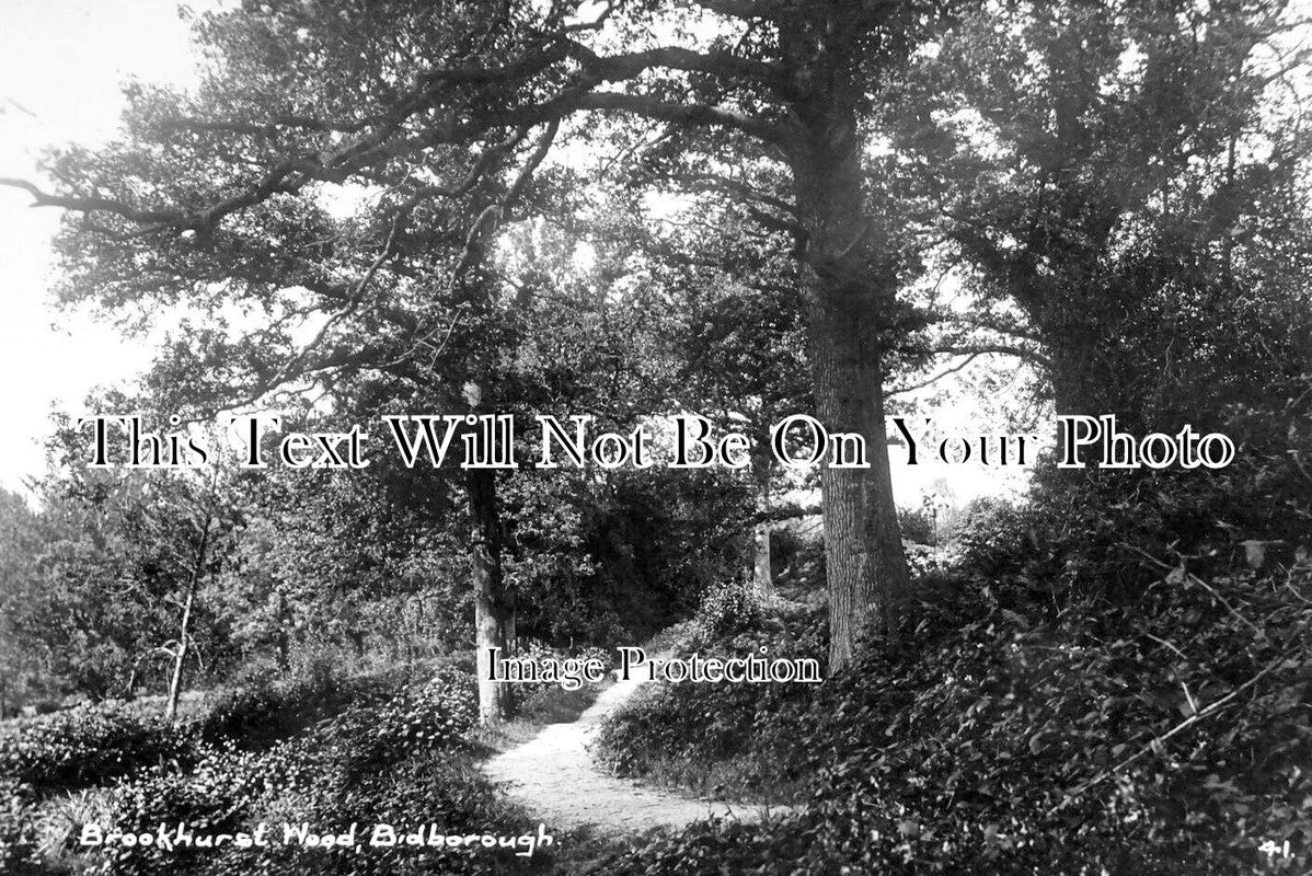 KE 2778 - Brookhurst Wood, Bidborough, Kent