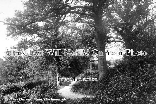 KE 2778 - Brookhurst Wood, Bidborough, Kent