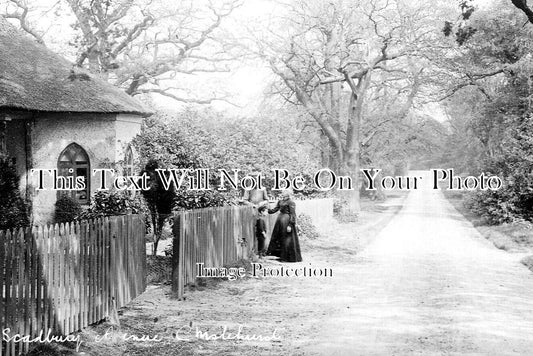 KE 3119 - Scadbury Avenue, Chiselhurst, Kent