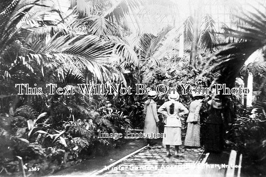 KE 3201 - Winter Gardens, Avery Hill, Eltham, Kent c1915