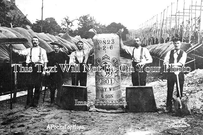 KE 3231 - Hop Picking Company, East Farleigh, Maidstone, Kent