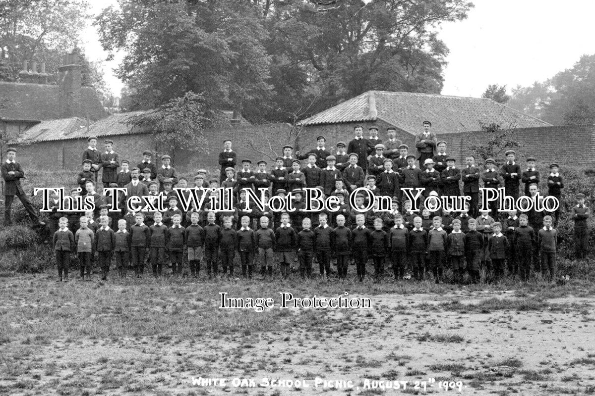 KE 3395 - White Oak School Picnic, Kent 1909