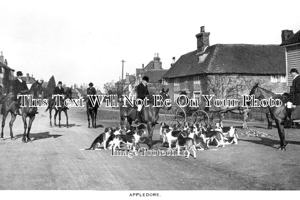 KE 3697 - Appledore Fox Hunt Meet, Kent
