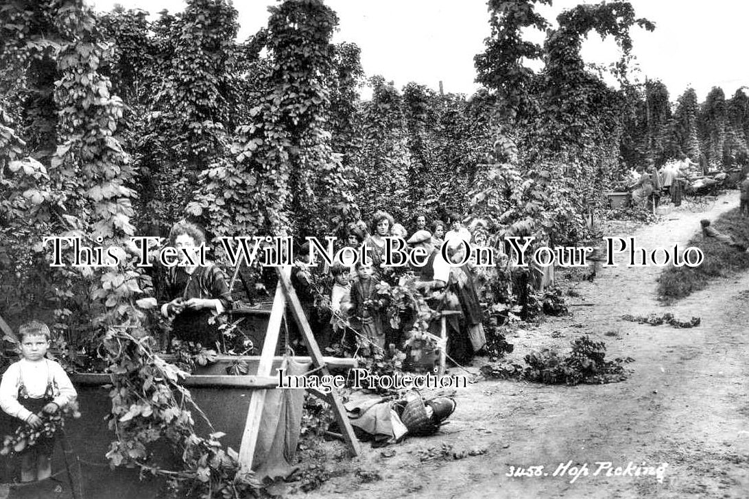 KE 3939 - Hop Picking, Kent