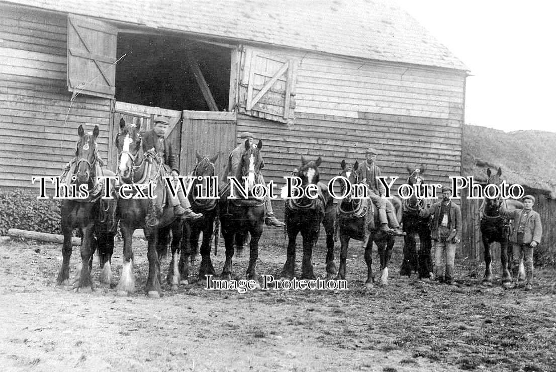 KE 4432 - Working Horses, Eastry, Kent