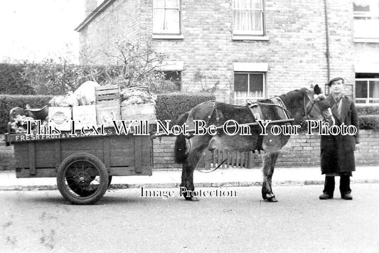 KE 4573 - F Pearce Greengrocer, Washington Avenue, Chatham, Kent