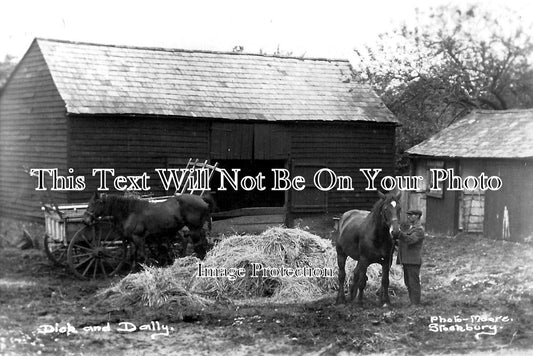 KE 4761 - Dick & Dolly Farm Horses, Stockbury, Kent