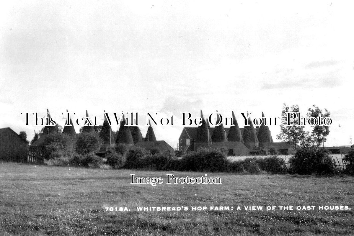 KE 4846 - Whitbreads Hop Farm Oast Houses, Kent