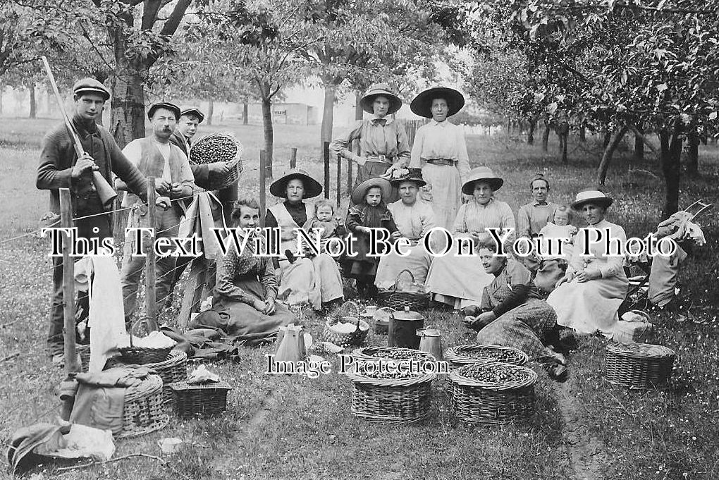 KE 490 - Fruit Pickers Taking A Tea Break, Kent c1914