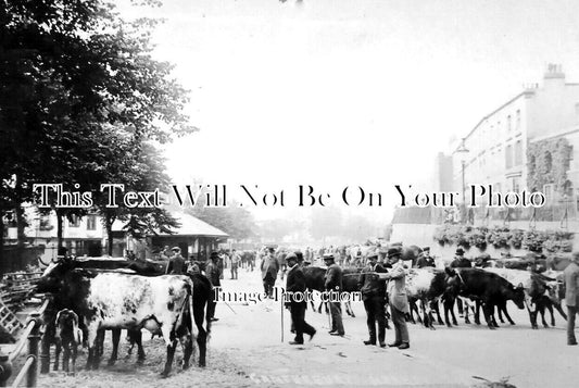 KE 4909 - Canterbury Market, Kent