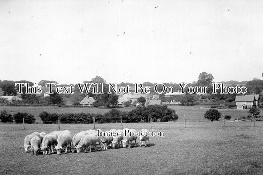 KE 506 - Nonington, Kent