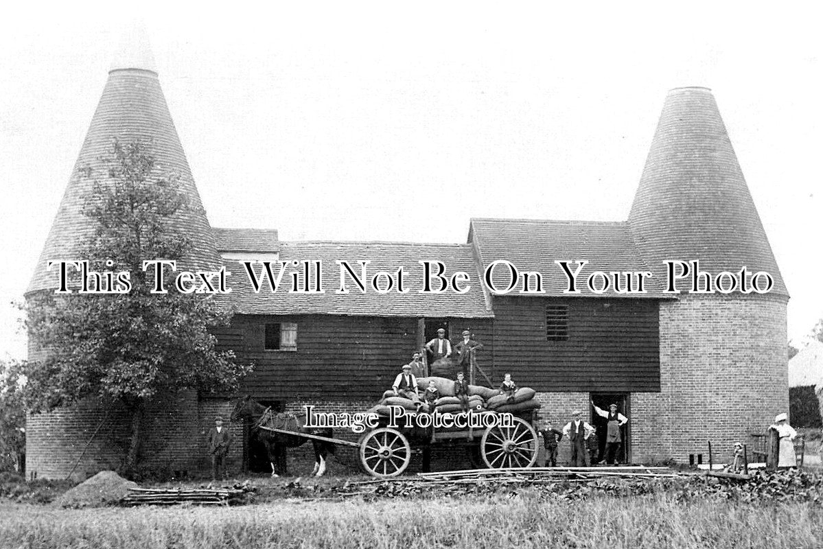 KE 5377 - Oast Houses, Kent